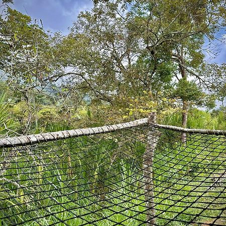 Finca Ecoparaiso Ibagué Exteriér fotografie