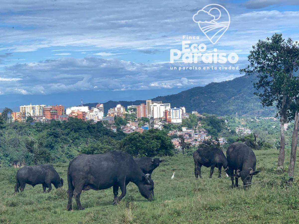 Finca Ecoparaiso Ibagué Exteriér fotografie