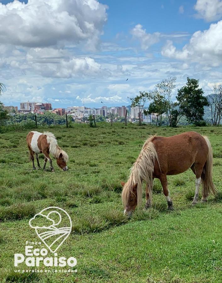 Finca Ecoparaiso Ibagué Exteriér fotografie