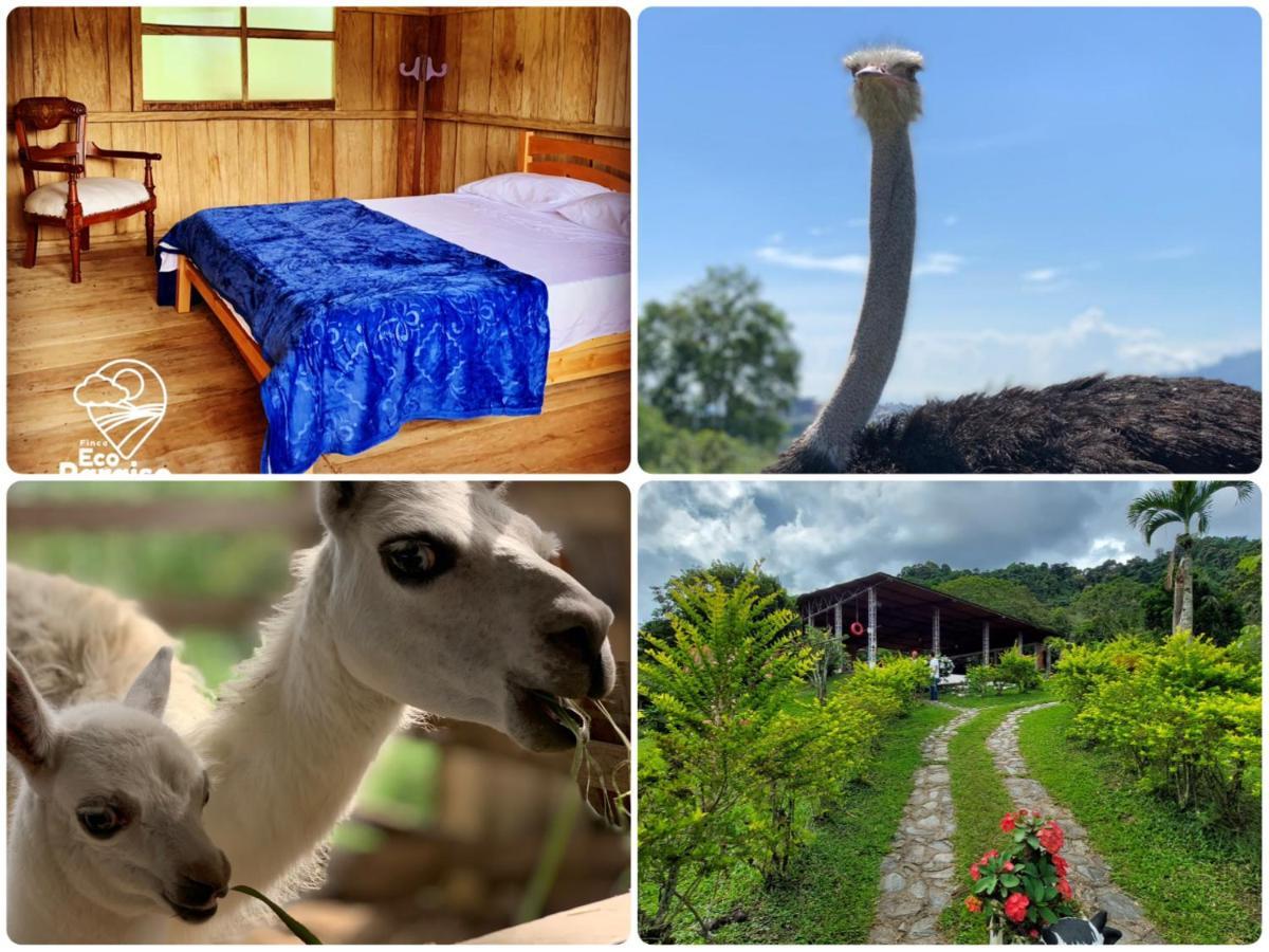 Finca Ecoparaiso Ibagué Exteriér fotografie
